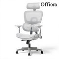Offiora Office Chair Premium Mesh Ergonomic Office Chair, Dynamic Lumbar Support, Recline Tilt Function