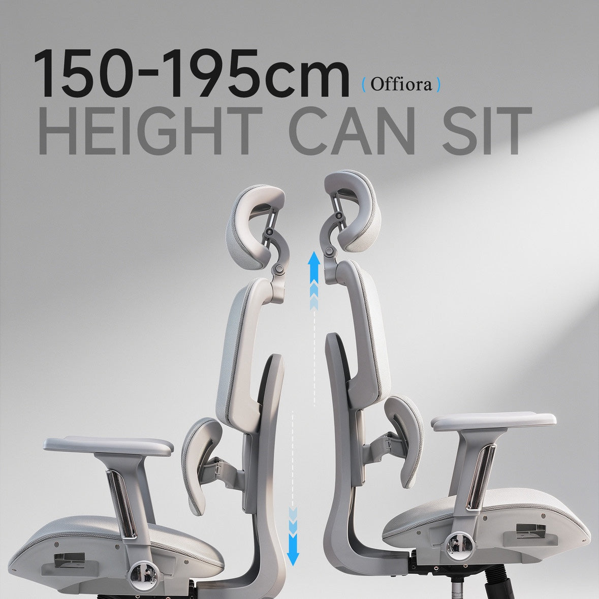 Offiora Office Chair Premium Mesh Ergonomic Office Chair, Dynamic Lumbar Support, Recline Tilt Function